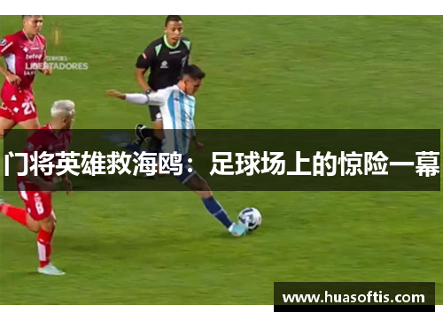 门将英雄救海鸥：足球场上的惊险一幕